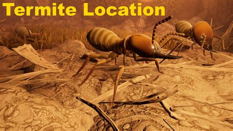 As shown in the picture below. . Grounded where to find termites